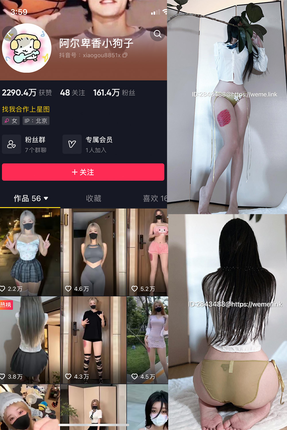 抖音 阿尔卑香小狗子 微密圈  NO.047期 【39P】最新至：2024.6.10-蜜桃搜索